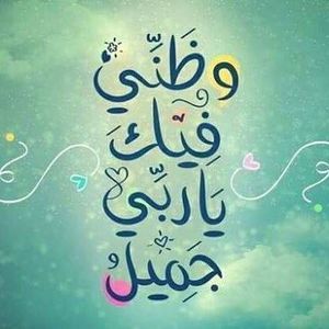 Meet your Posher, Sawsan